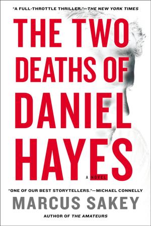 Cover of the book The Two Deaths of Daniel Hayes by Rachel Grace