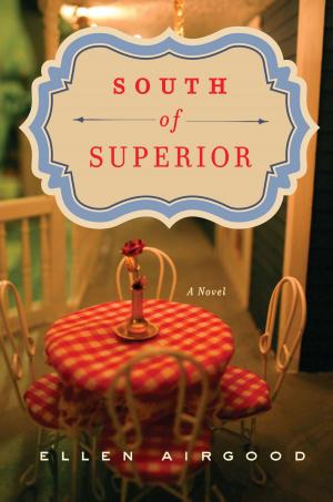 Cover of the book South of Superior by Wesley Ellis