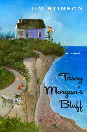 Book cover of Tassy Morgan's Bluff