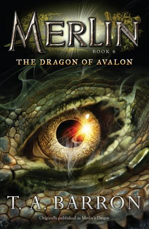 Cover of the book The Dragon of Avalon by Natasha Wing