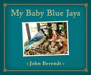 Cover of the book My Baby Blue Jays by Roald Dahl