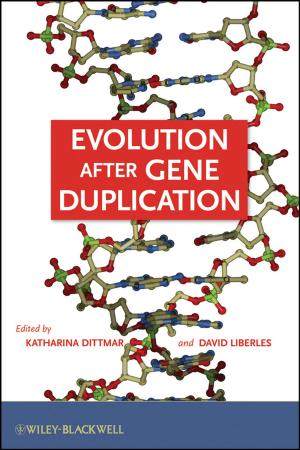 Cover of the book Evolution after Gene Duplication by Jingyang Wang, Soshu Kirihara
