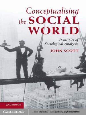 Book cover of Conceptualising the Social World