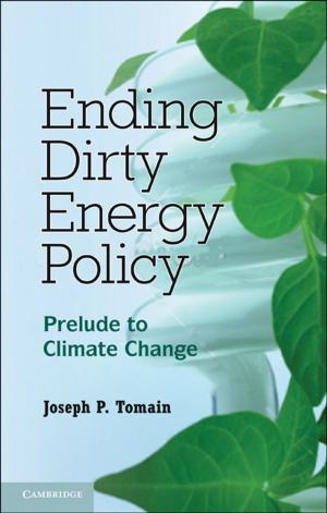 Cover of the book Ending Dirty Energy Policy by Mary R. Bachvarova