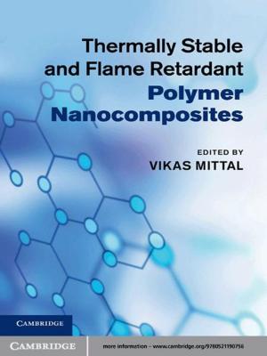 Cover of the book Thermally Stable and Flame Retardant Polymer Nanocomposites by 