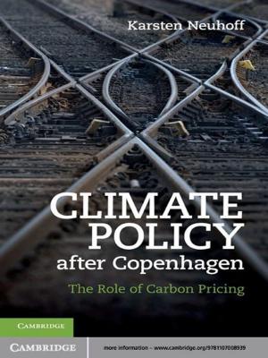 Cover of the book Climate Policy after Copenhagen by Antoine Guisan, Wilfried Thuiller, Niklaus E. Zimmermann