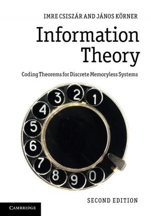 Cover of the book Information Theory by Julio Ríos-Figueroa