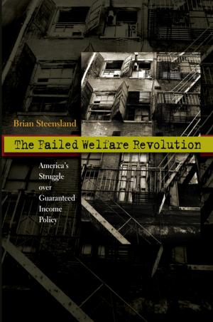 Cover of the book The Failed Welfare Revolution by Nadav Samin