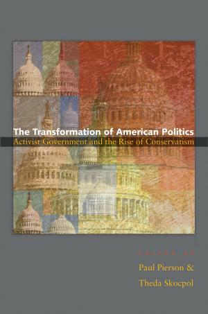 Cover of the book The Transformation of American Politics by VijaySekhar Chellaboina, Wassim M. Haddad