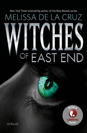 Cover of the book Witches of East End by Ted Ellsworth