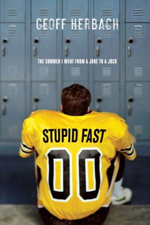 Cover of the book Stupid Fast by Tamara Hogan
