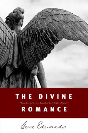 Cover of the book The Divine Romance by Jolina Petersheim