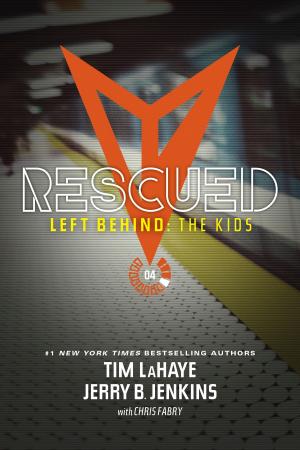 Cover of the book Rescued by Ed Stetzer
