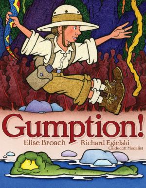 Cover of the book Gumption! by Judi Barrett