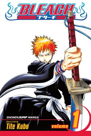 Cover of the book Bleach, Vol. 1 by Gosho Aoyama