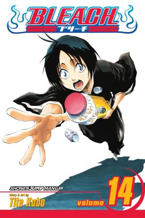 Cover of the book Bleach, Vol. 14 by Luke W. Molver
