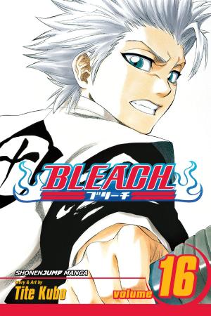 Cover of the book Bleach, Vol. 16 by Bisco Hatori