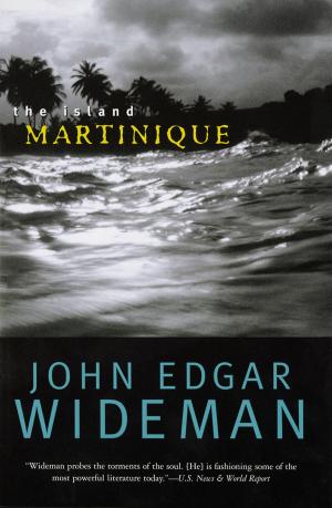 Cover of the book The Island Martinique by Barbara Athanassiadis