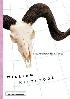 Cover of the book Southwestern Homelands by Erin Klitzke