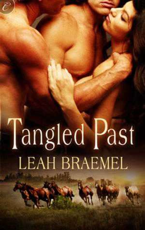 Cover of the book Tangled Past by Megan Hart