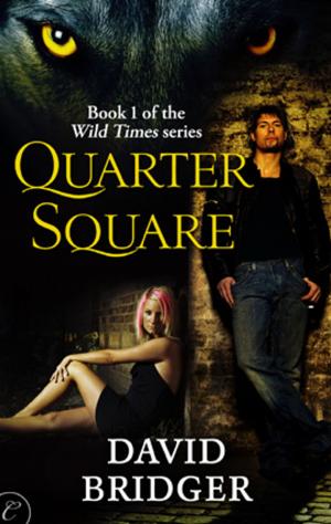 Cover of the book Quarter Square by LB Gregg