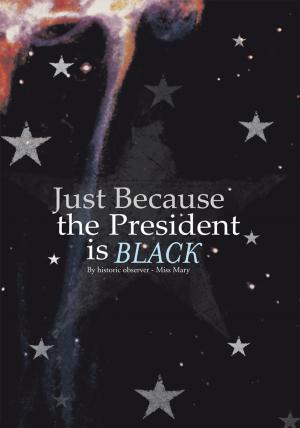 Cover of the book Just Because the President Is Black by Kelly Ann Helder
