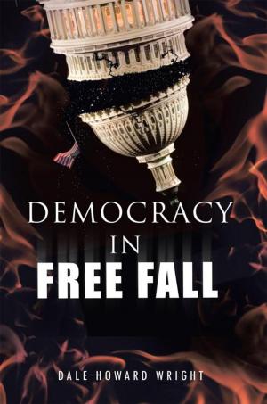 Cover of the book Democracy in Freefall by John Dye Evangelist