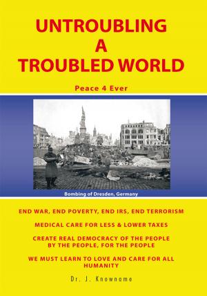 Cover of the book Untroubling a Troubled World by J.P. Lucas