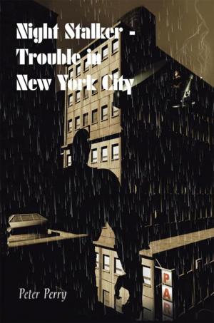 bigCover of the book Night Stalker I - Trouble in New York City by 