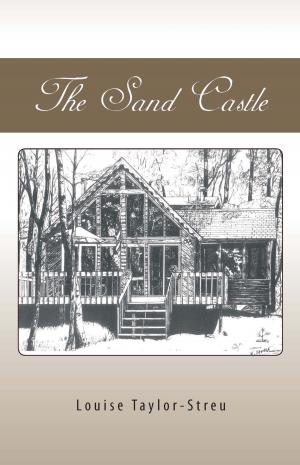 Cover of the book The Sand Castle by Audrey Schrum Boenig