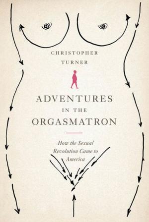 Cover of the book Adventures in the Orgasmatron by Donald Antrim