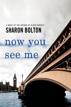Book cover of Now You See Me