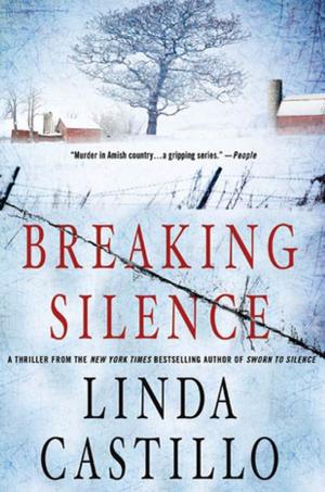 Cover of the book Breaking Silence by Rebecca Maizel
