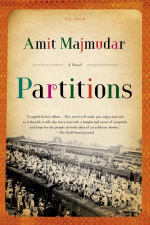 Book cover of Partitions