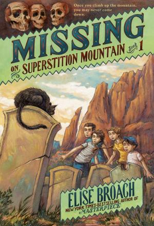Cover of the book Missing on Superstition Mountain by Kerstin Gier