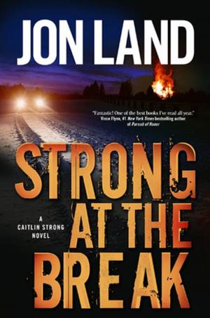 Cover of the book Strong at the Break by Ed Garron