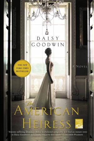Cover of the book The American Heiress by Brian McGilloway