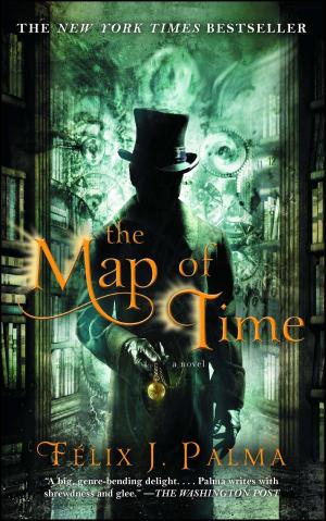 Cover of the book The Map of Time by Stella Tillyard
