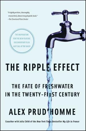 Cover of the book The Ripple Effect by Lisa Fugard
