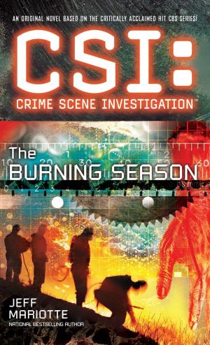Cover of the book CSI: Crime Scene Investigation: The Burning Season by Richard Godwin