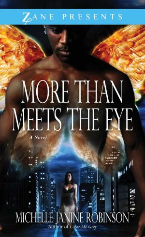 Cover of the book More Than Meets the Eye by Pat Tucker