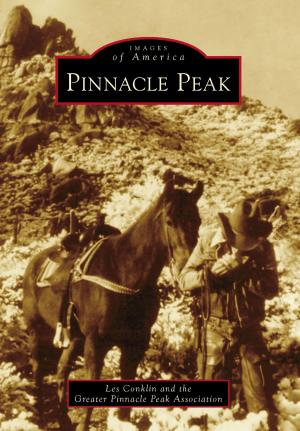Cover of the book Pinnacle Peak by Julie Ann Rumbold