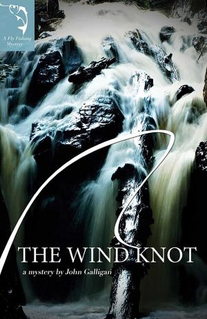 Cover of the book The Wind Knot by Melissa Anelli