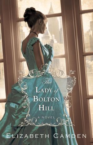 Cover of the book Lady of Bolton Hill, The by Karina McRoberts