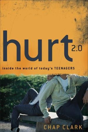 Cover of Hurt 2.0 ()