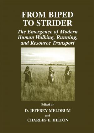 Cover of the book From Biped to Strider by B. Khodorov