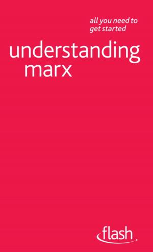 Cover of the book Understanding Marx: Flash by Lorna Selfe