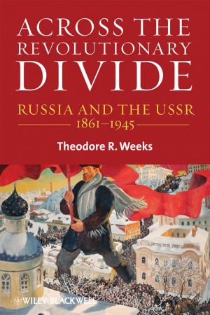 Cover of the book Across the Revolutionary Divide by Sue Fox