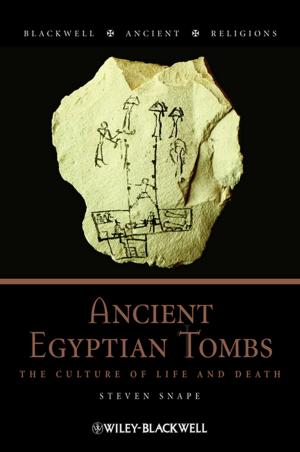 Cover of the book Ancient Egyptian Tombs by W. Sean Cleary