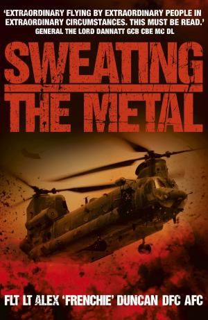 Cover of the book Sweating the Metal by Anna Jacobs